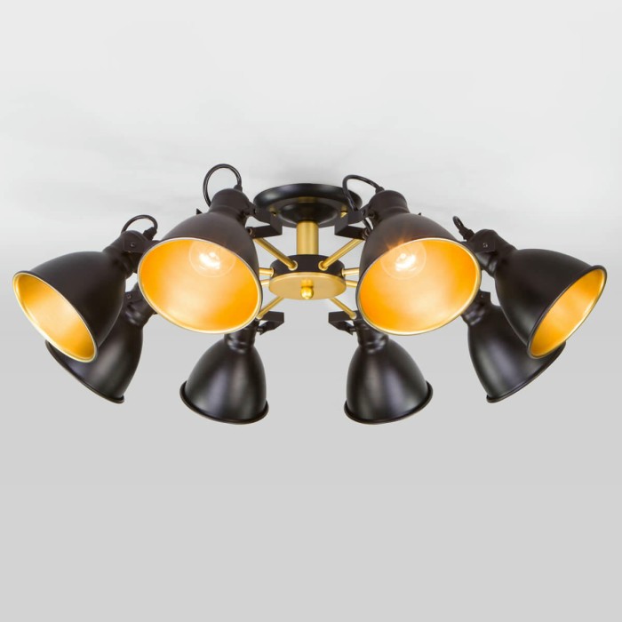 Потолочная люстра Eurosvet Denley 70112/8 черный