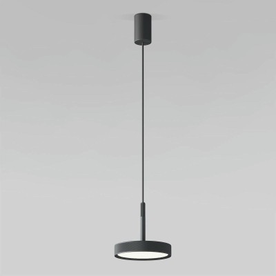 Подвесной светильник Elektrostandard Plate 50260 LED a065411