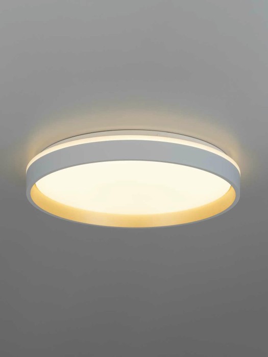 Светильник потолочный Citilux ENZO CL753450G