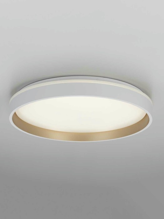 Светильник потолочный Citilux ENZO CL753450G