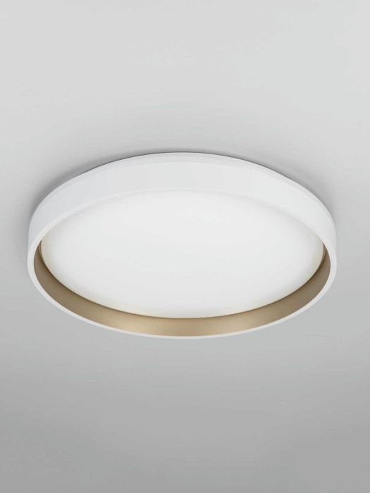 Светильник потолочный Citilux ENZO CL753450G