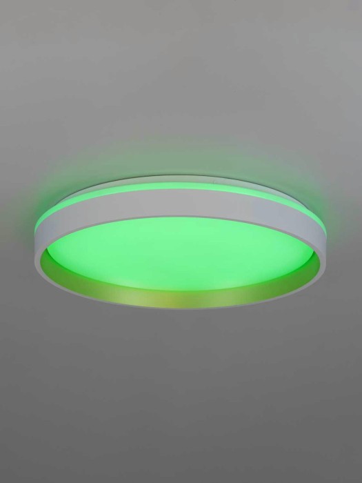 Светильник потолочный Citilux ENZO CL753450G