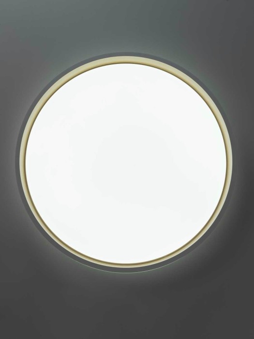 Светильник потолочный Citilux ENZO CL753450G