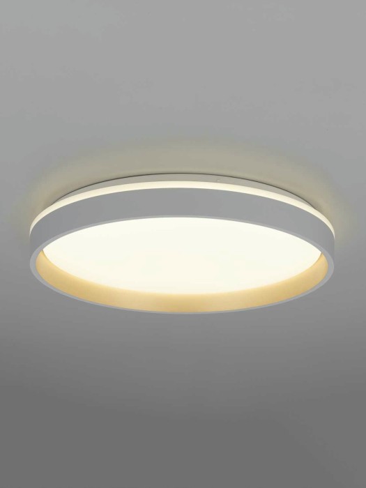 Светильник потолочный Citilux ENZO CL753450G