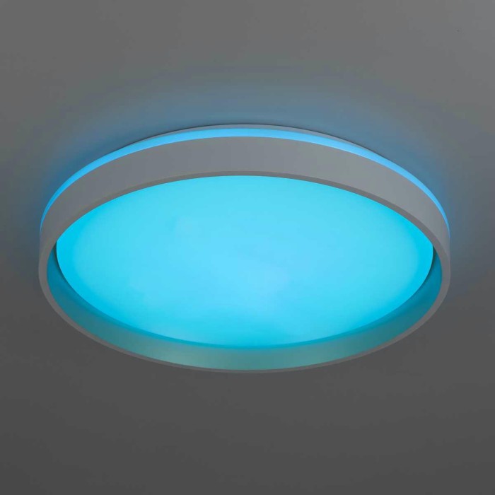 Светильник потолочный Citilux ENZO CL753450G