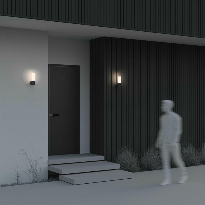 Настенный светильник Maytoni Outdoor O418WL-01B