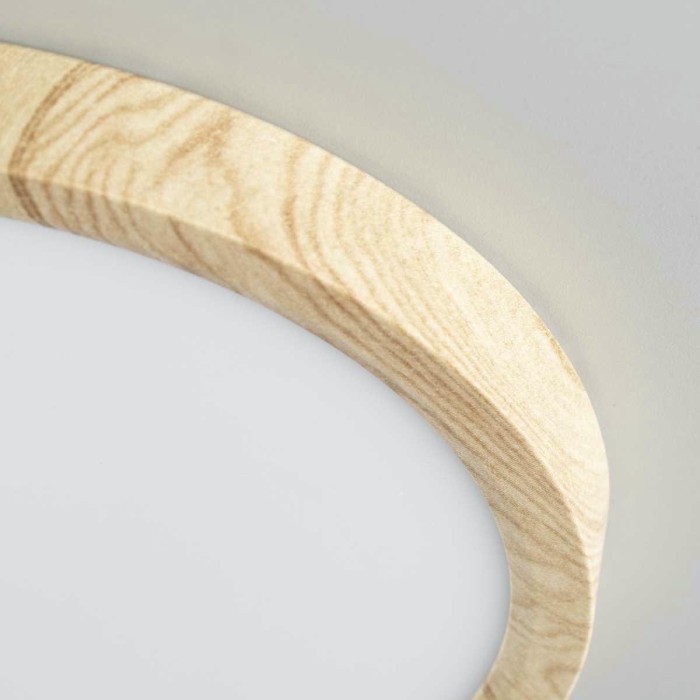 Светильник накладной Citilux Бейсик CL738182V