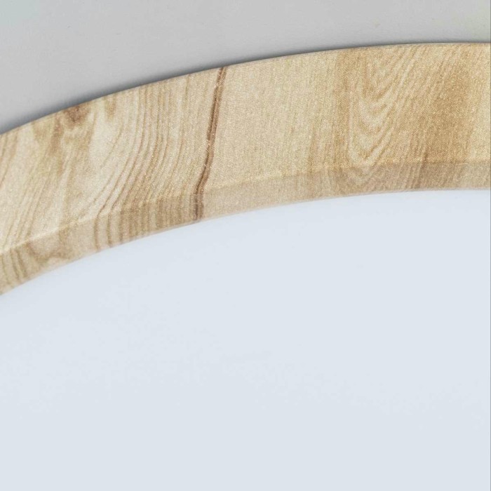 Светильник накладной Citilux Бейсик CL738182V