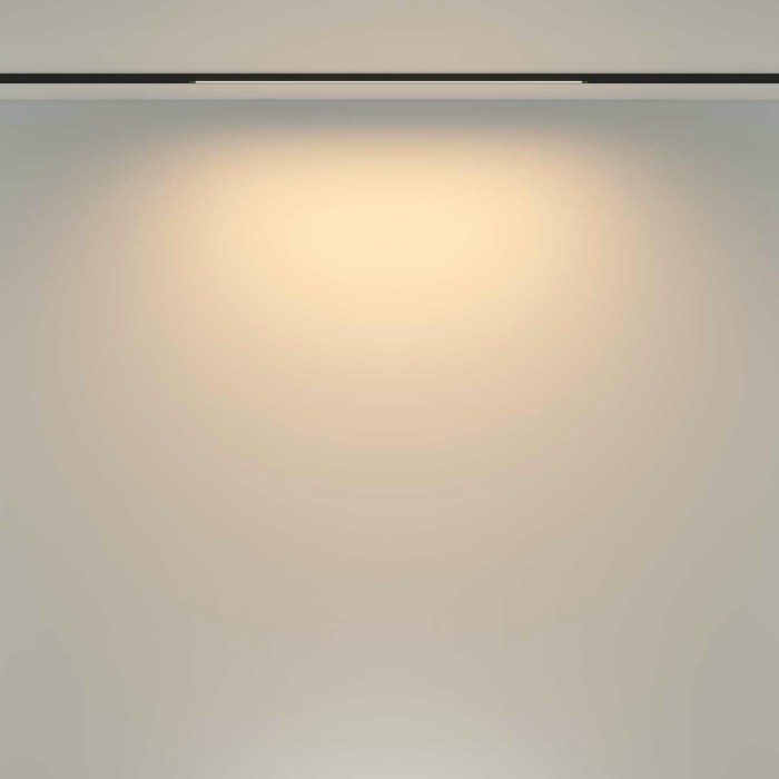 Трековый светильник Maytoni Technical TR173-1-16WTW-B