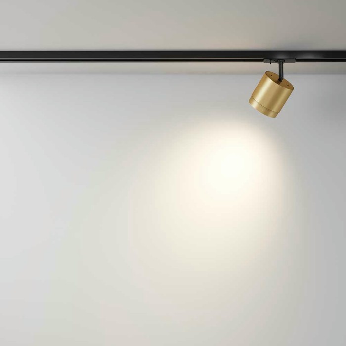 Трековый светильник Maytoni Technical Single phase track system Unity Polar TR088-1-GX53-MG