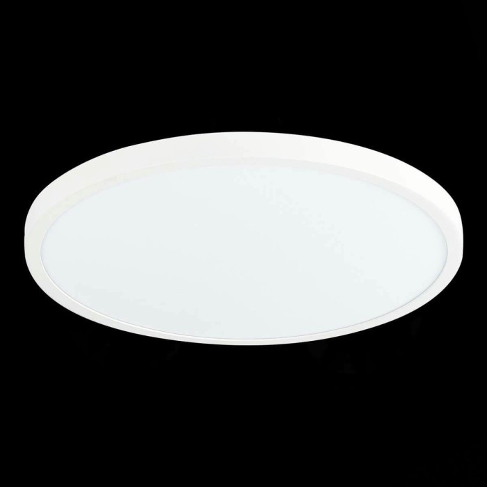 Настенно-потолочный светодиодный светильник ST Luce ST601.542.32