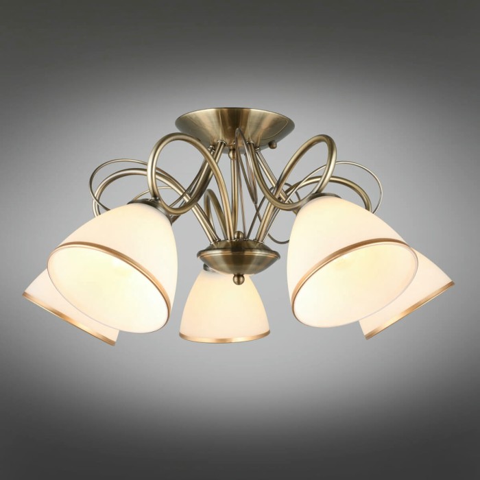 Потолочная люстра Omnilux Alimini OML-25307-05