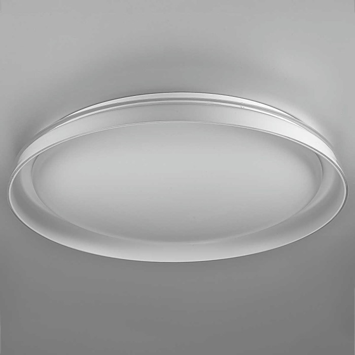 Потолочный светодиодный светильник Citilux Mega CL752450G