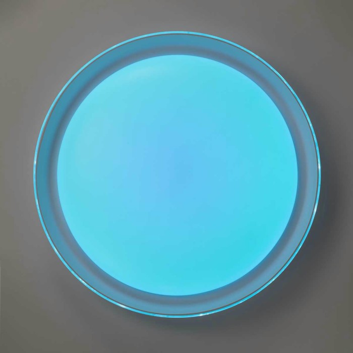 Потолочный светодиодный светильник Citilux Mega CL752450G