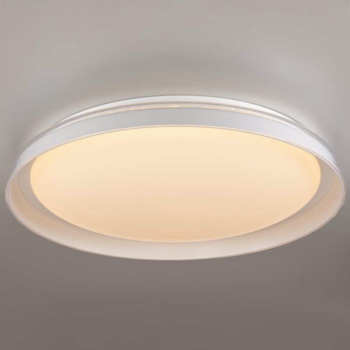 Потолочный светодиодный светильник Citilux Mega CL752450G