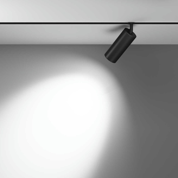 Трековый светильник Maytoni Technical TR032-4-20WTW-M-DSZ-B