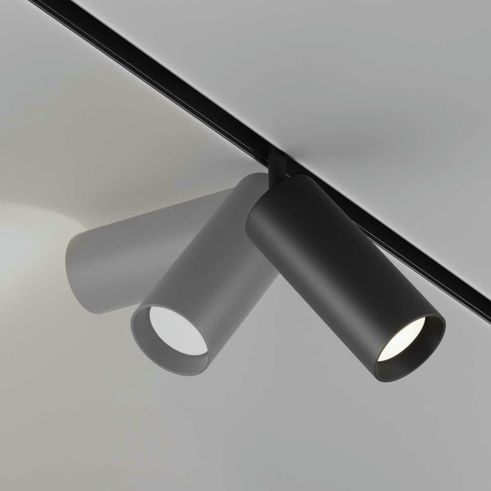 Трековый светильник Maytoni Technical TR032-4-20WTW-M-DSZ-B