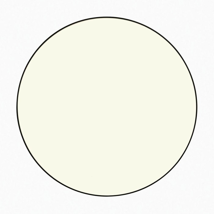 Потолочный светодиодный светильник Citilux Bart CL755391