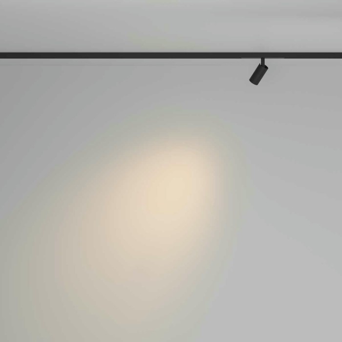 Трековый светильник Maytoni Technical TR176-1-3WTW-M-B