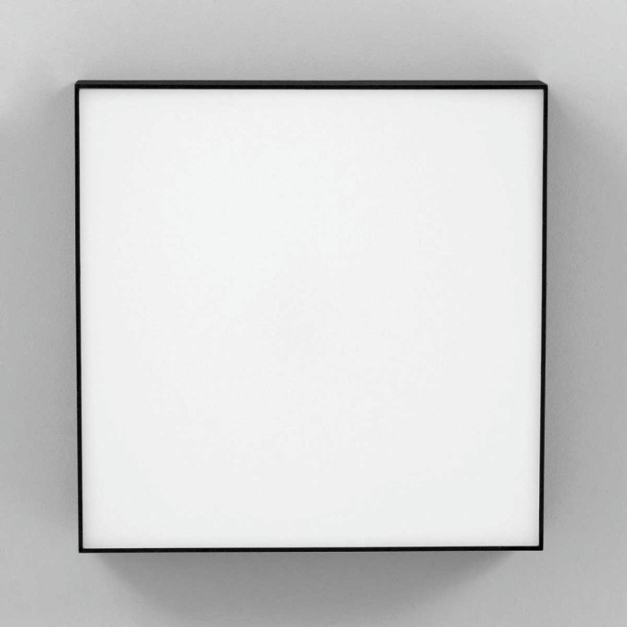 Накладной светодиодный светильник Citilux Тао CL712X242N