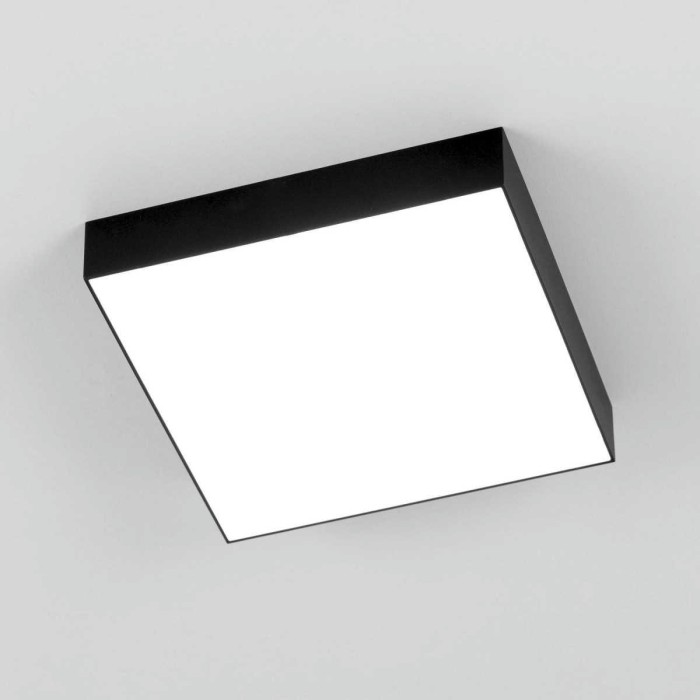 Накладной светодиодный светильник Citilux Тао CL712X242N