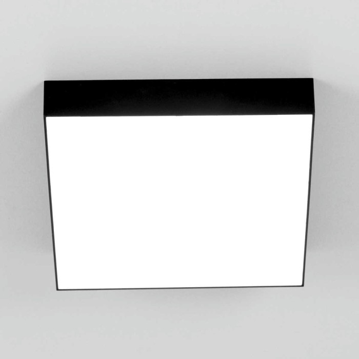 Накладной светодиодный светильник Citilux Тао CL712X242N