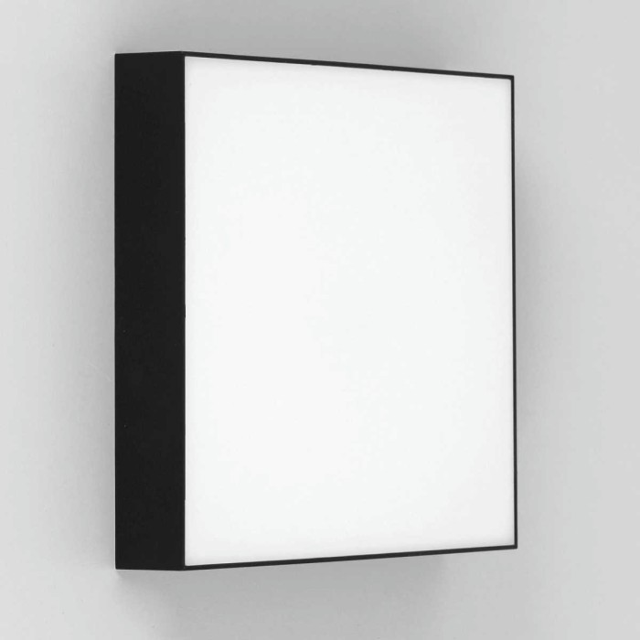 Накладной светодиодный светильник Citilux Тао CL712X242N