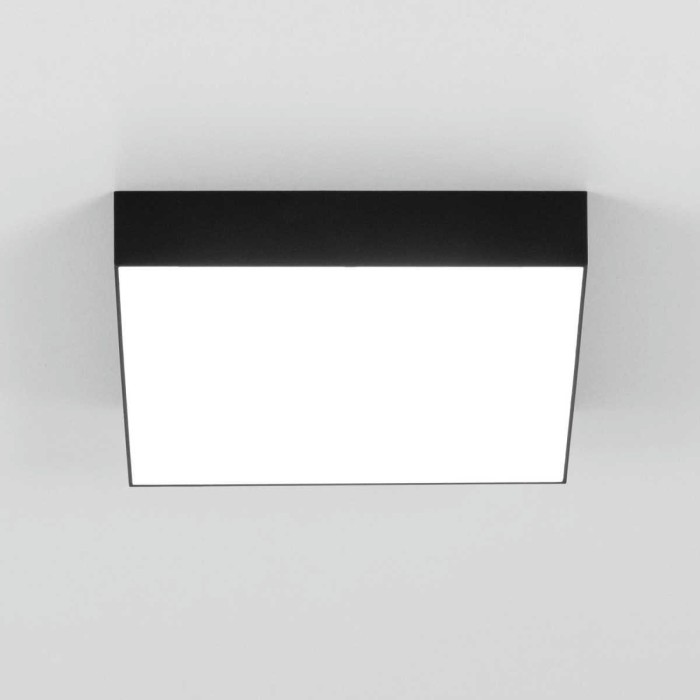 Накладной светодиодный светильник Citilux Тао CL712X242N