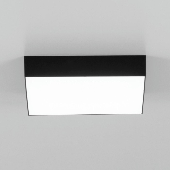 Накладной светодиодный светильник Citilux Тао CL712X242N