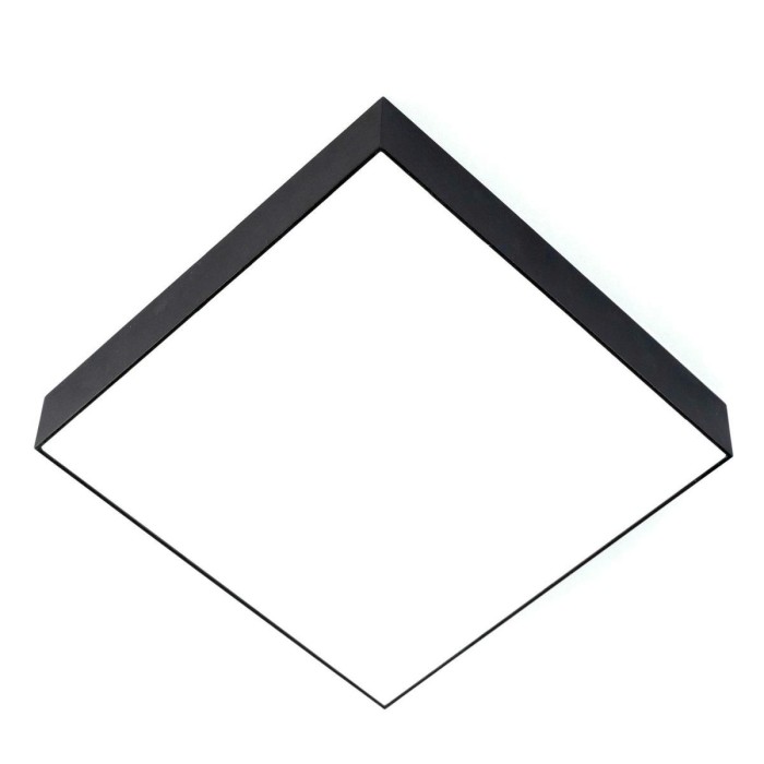 Накладной светодиодный светильник Citilux Тао CL712X242N