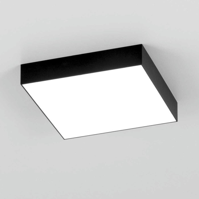 Накладной светодиодный светильник Citilux Тао CL712X242N