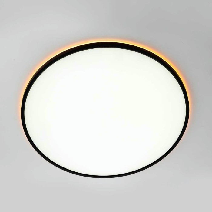 Потолочный светильник Citilux NORMA CL749601