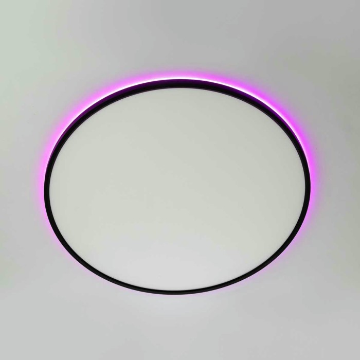 Потолочный светильник Citilux NORMA CL749601