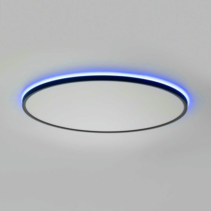 Потолочный светильник Citilux NORMA CL749601