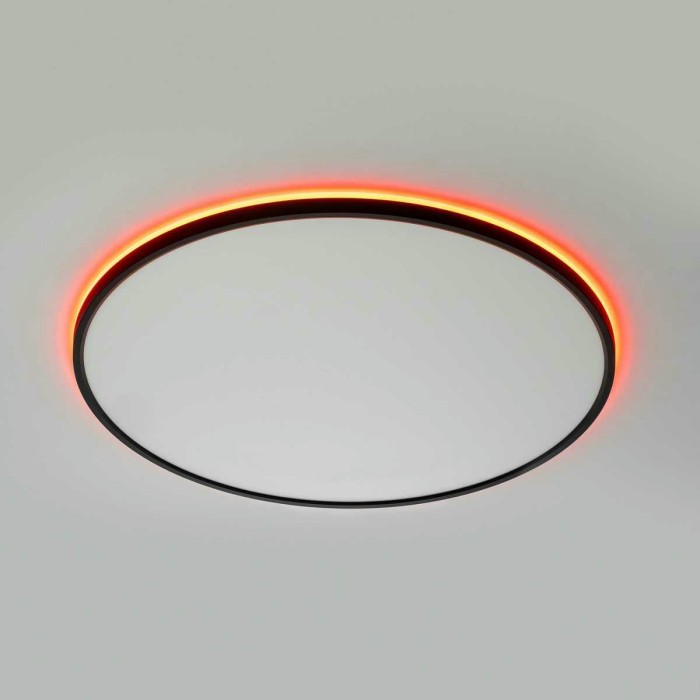 Потолочный светильник Citilux NORMA CL749601