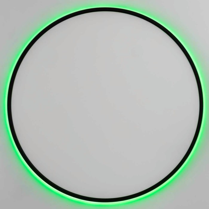 Потолочный светильник Citilux NORMA CL749601