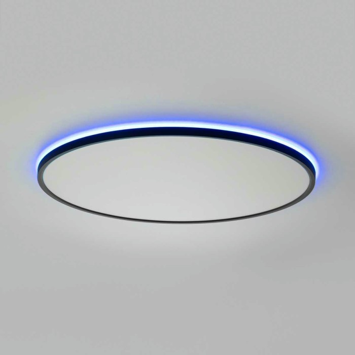 Потолочный светильник Citilux NORMA CL749601