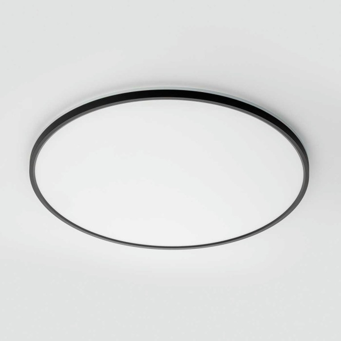 Потолочный светильник Citilux NORMA CL749601