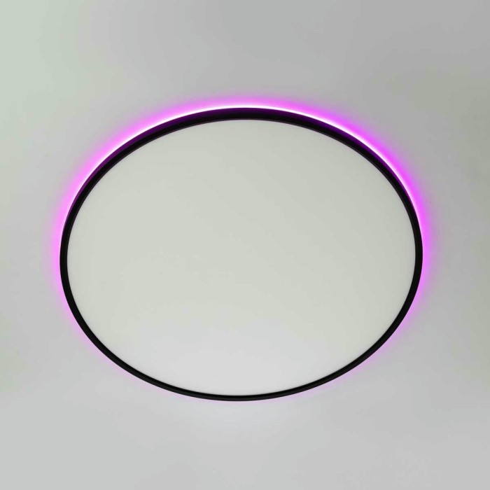 Потолочный светильник Citilux NORMA CL749601