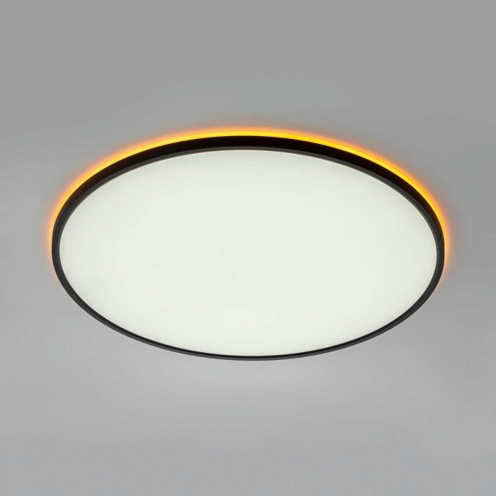 Потолочный светильник Citilux NORMA CL749601