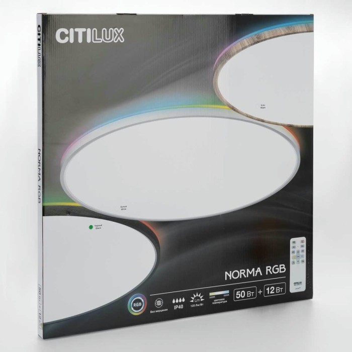 Потолочный светильник Citilux NORMA CL749601