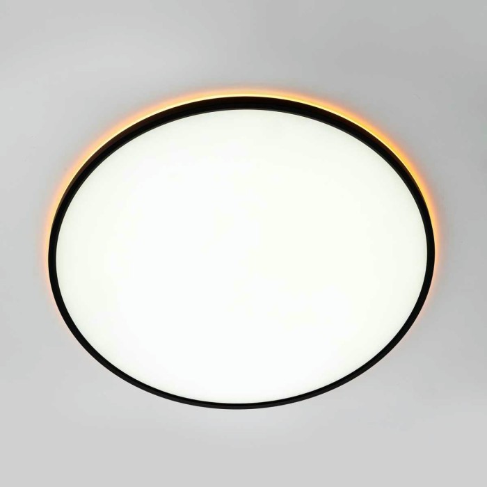 Потолочный светильник Citilux NORMA CL749601