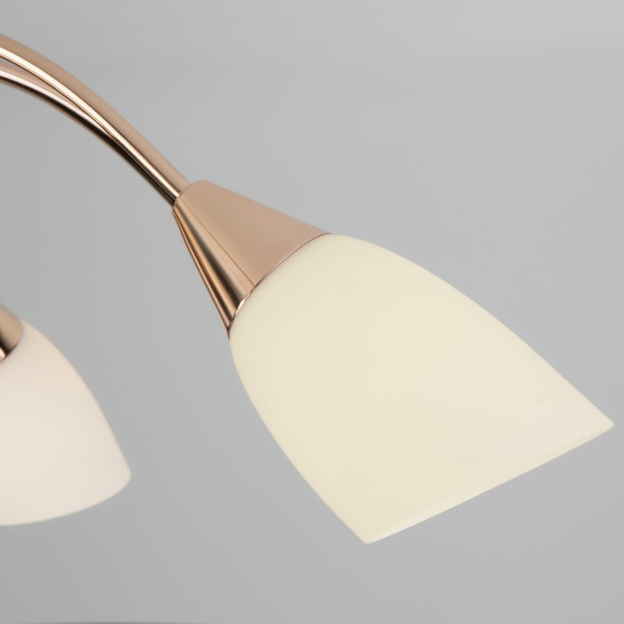 Потолочная люстра Eurosvet 30149/8 золото