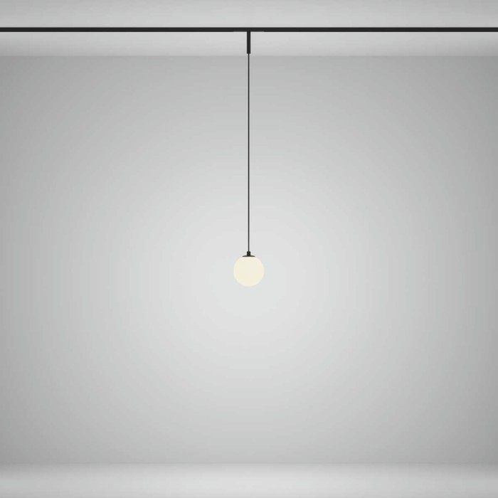 Трековый подвесной светильник Maytoni Technical TR178-1-5WTW-B