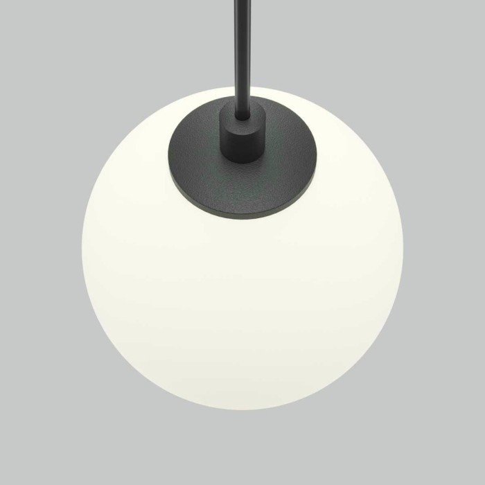 Трековый подвесной светильник Maytoni Technical TR178-1-5WTW-B