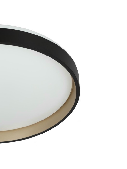 Светильник потолочный Citilux ENZO CL753451G