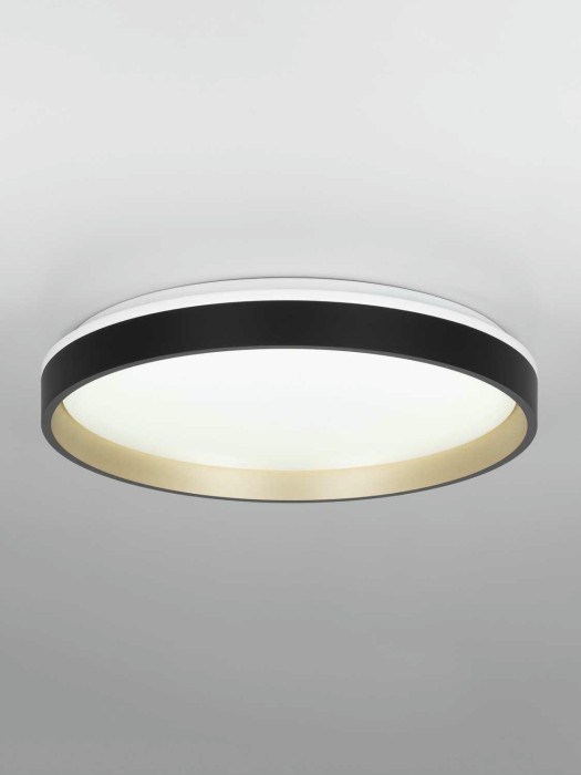 Светильник потолочный Citilux ENZO CL753451G