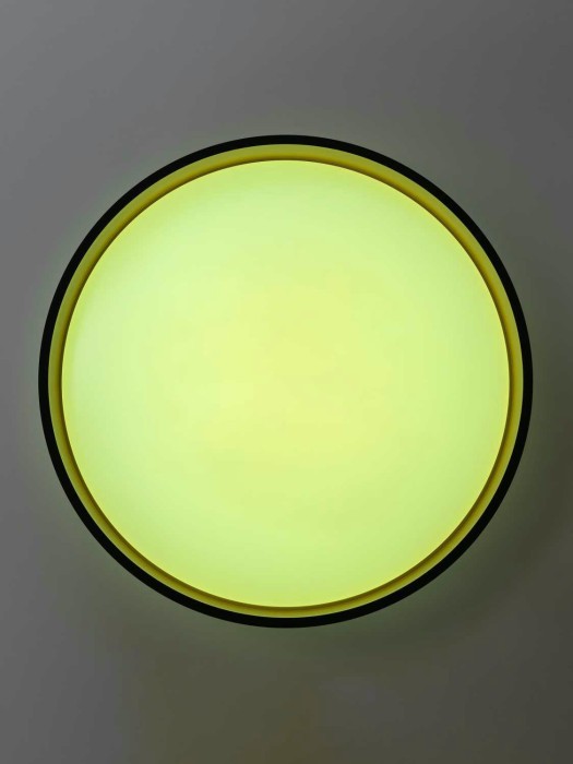 Светильник потолочный Citilux ENZO CL753451G