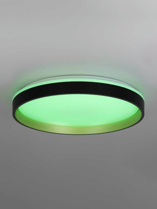 Светильник потолочный Citilux ENZO CL753451G