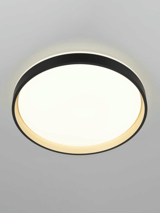 Светильник потолочный Citilux ENZO CL753451G